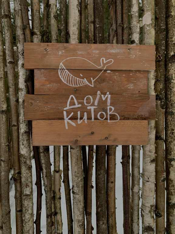 Фото Дом Китов