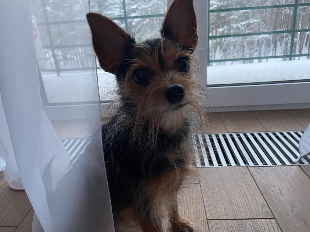 Фото Vania Rooms Hotel