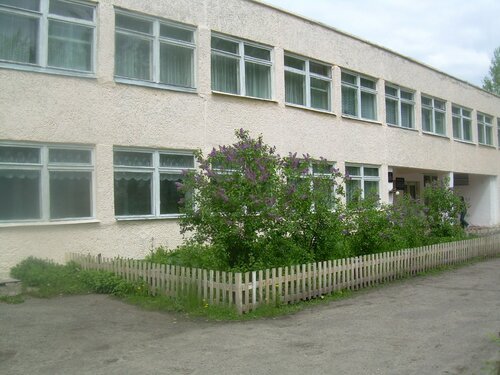 Общеобразовательная школа МБОУ Низовская СОШ, Калининградская область, фото