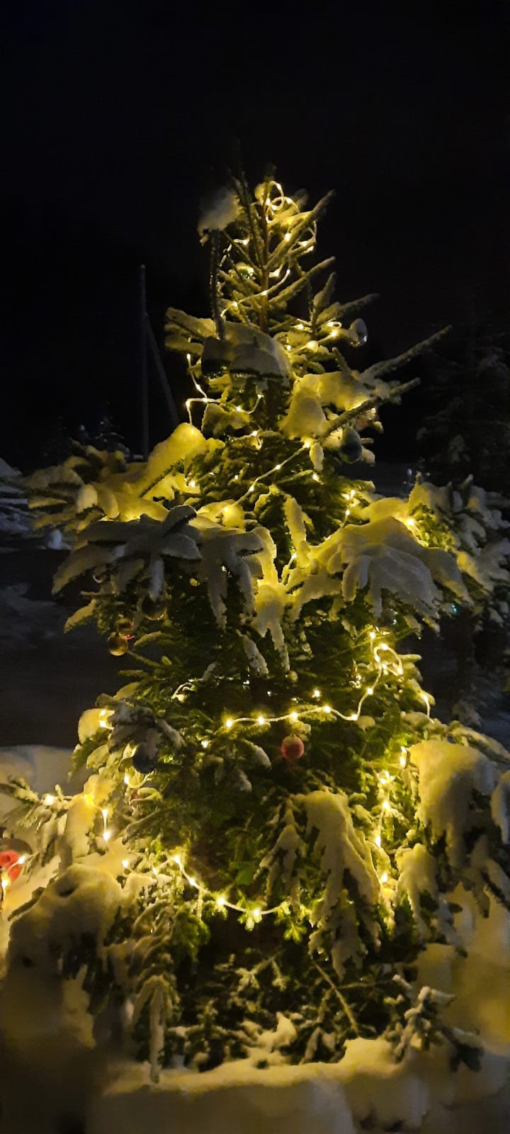 Фото Коттедж на Ладоге