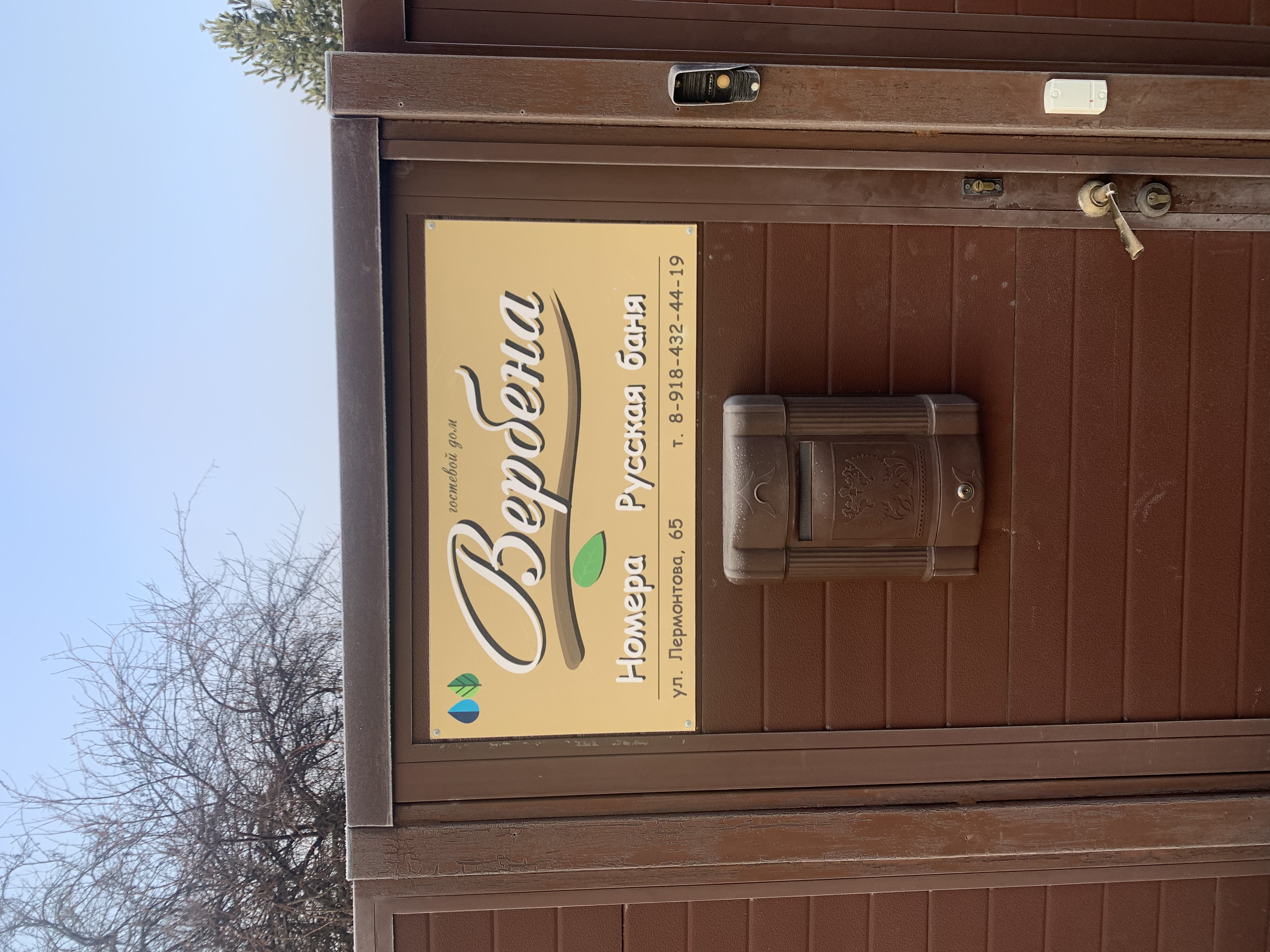 Фото Вербена