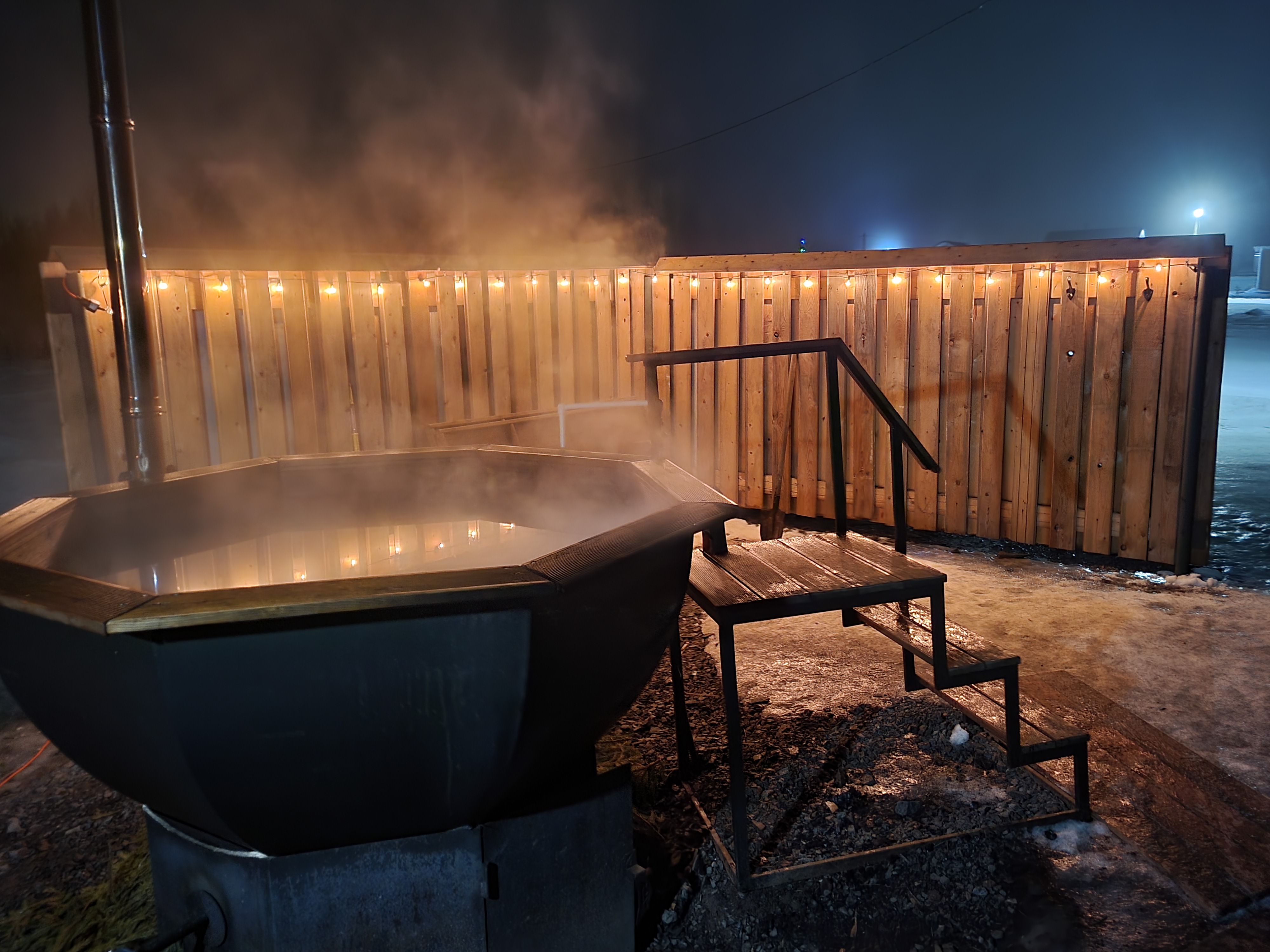 Фото Хитрый Лис