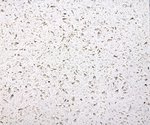 Kasspro (Proyektiruyemy proyezd № 4296, с4), stone articles and fixtures