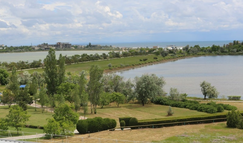 Фото Возрождение