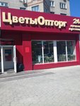 Цветыопторг (Leninskiy Avenue, 177), flower shop