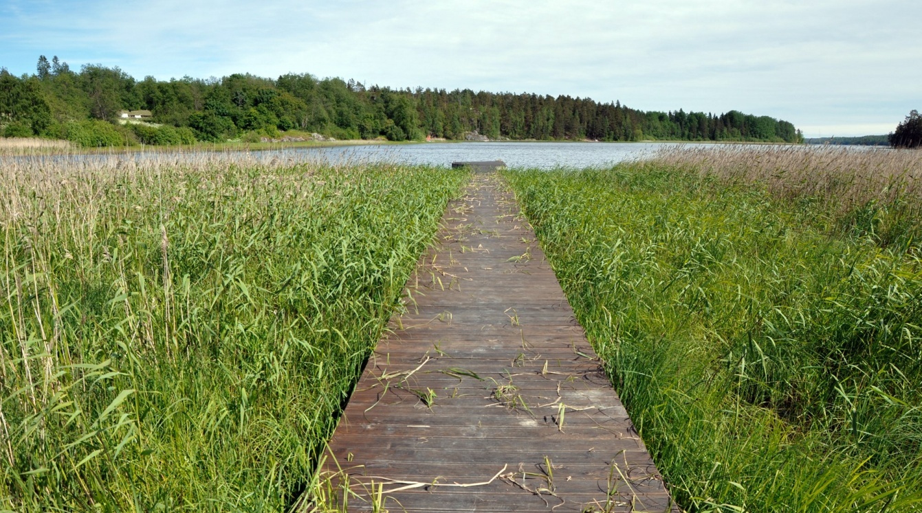 Фото Берёзово Хутор
