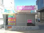 Tsvety (Volgograd, V.I. Lenina Avenue, 48), flower shop