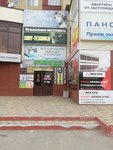 Shou-Tekhnika (ulitsa Kalinina, 55), sound and lighting equipment