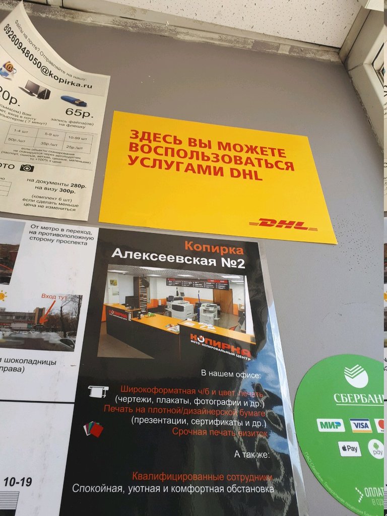 Курьерские услуги DHL Express Easy, Москва, фото