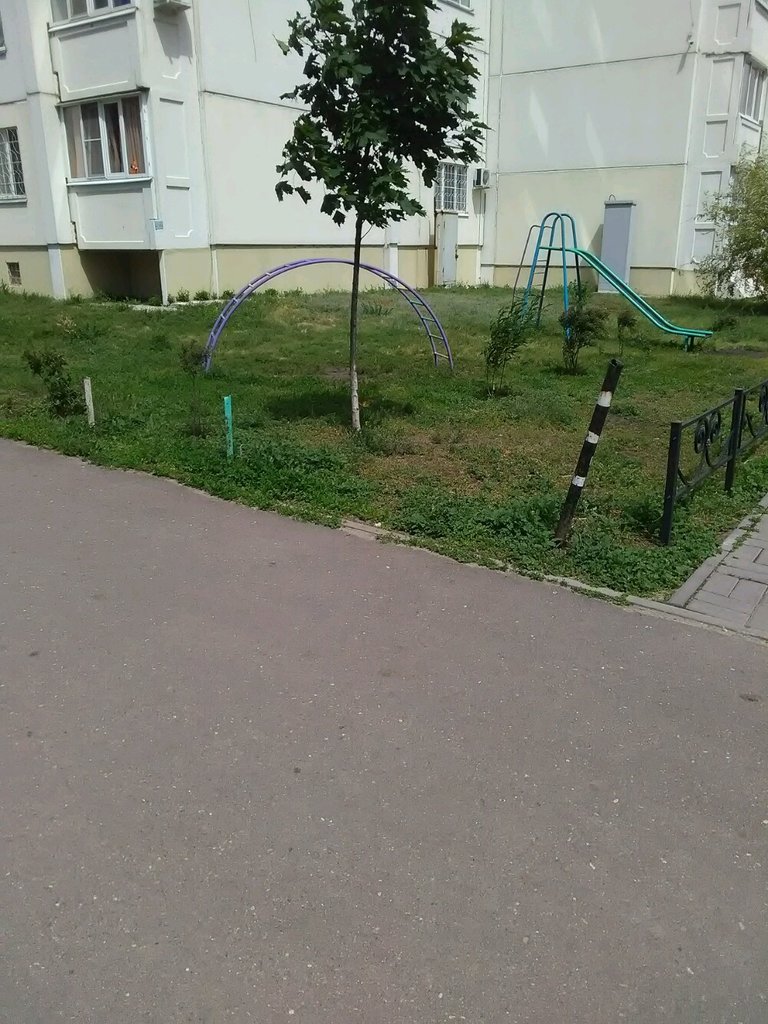 Playground Playground, Voronezh, photo