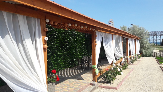 Фото Кактус