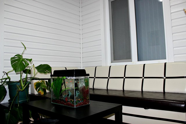 Фото Солнечная