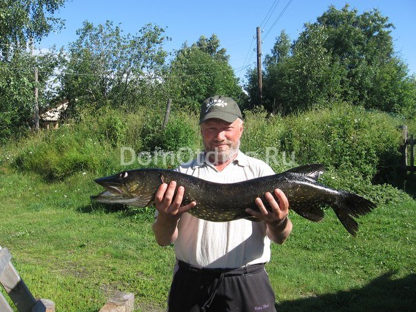 Фото Сеновал