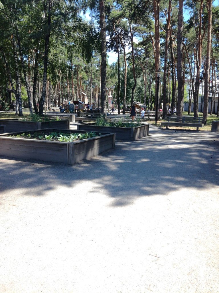 Playground Playground, Voronezh, photo