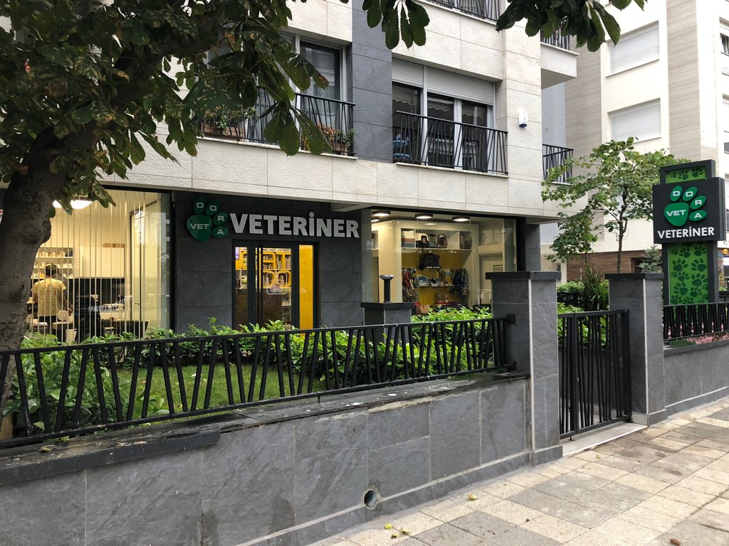 vetdora veteriner klinigi veteriner klinikleri goztepe mah ridvanpasa sok no 25 kadikoy istanbul turkiye yandex haritalar