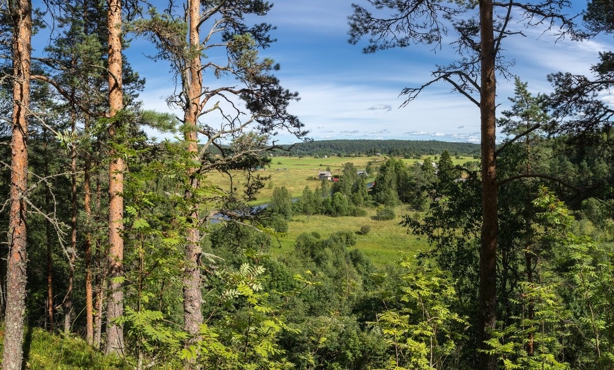 Фото Хутор Микли