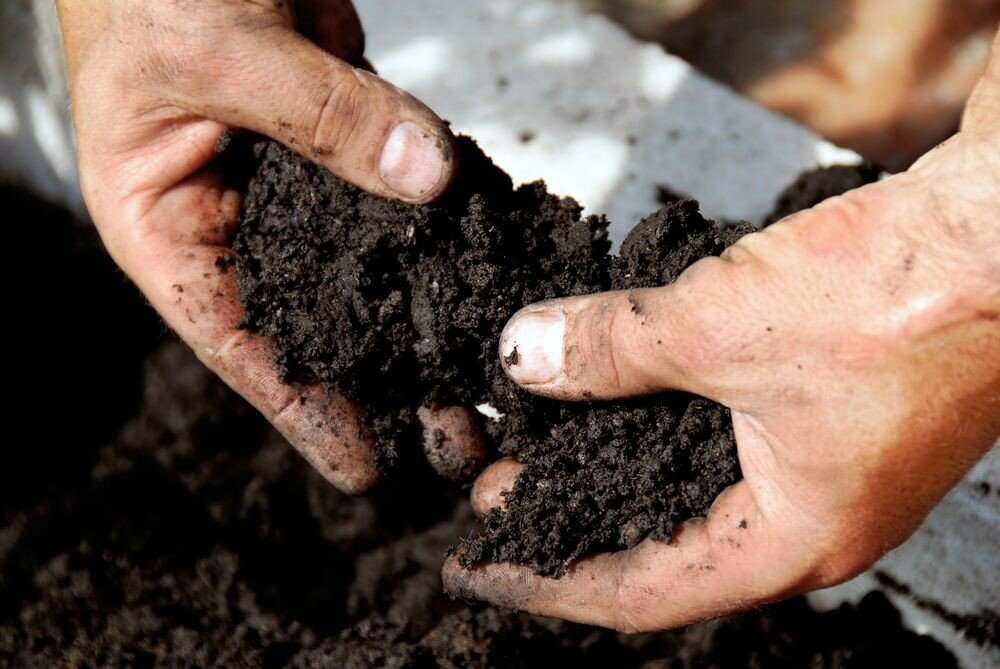 улучшение состава почвы