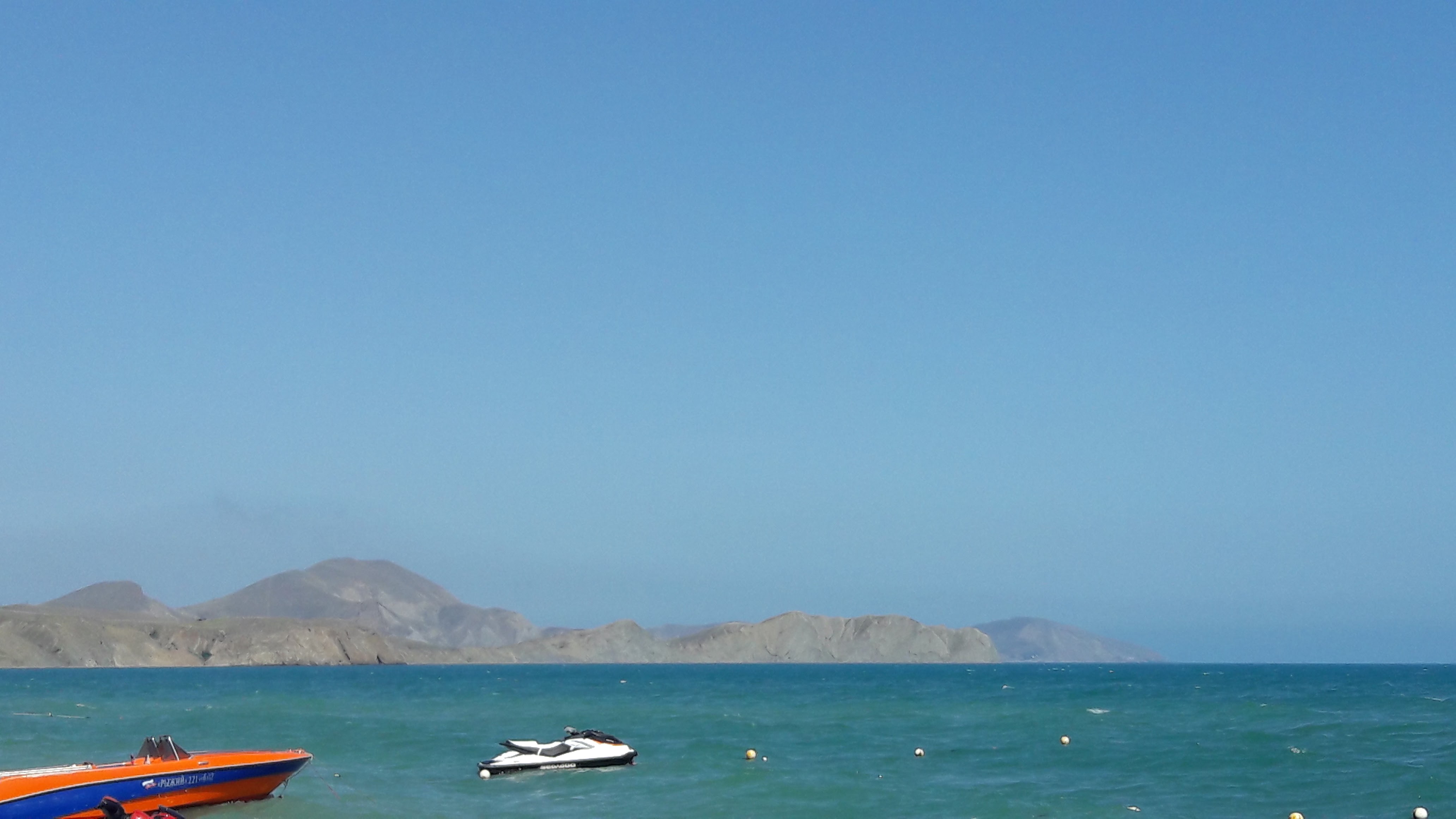 Фото Кактус