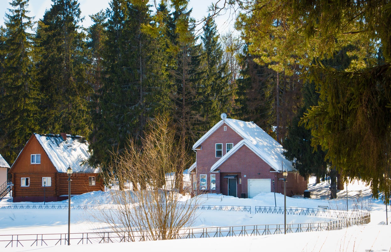 Фото Лесная сказка
