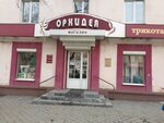 Orkhideya (8 Marta Street, 99), knitwear