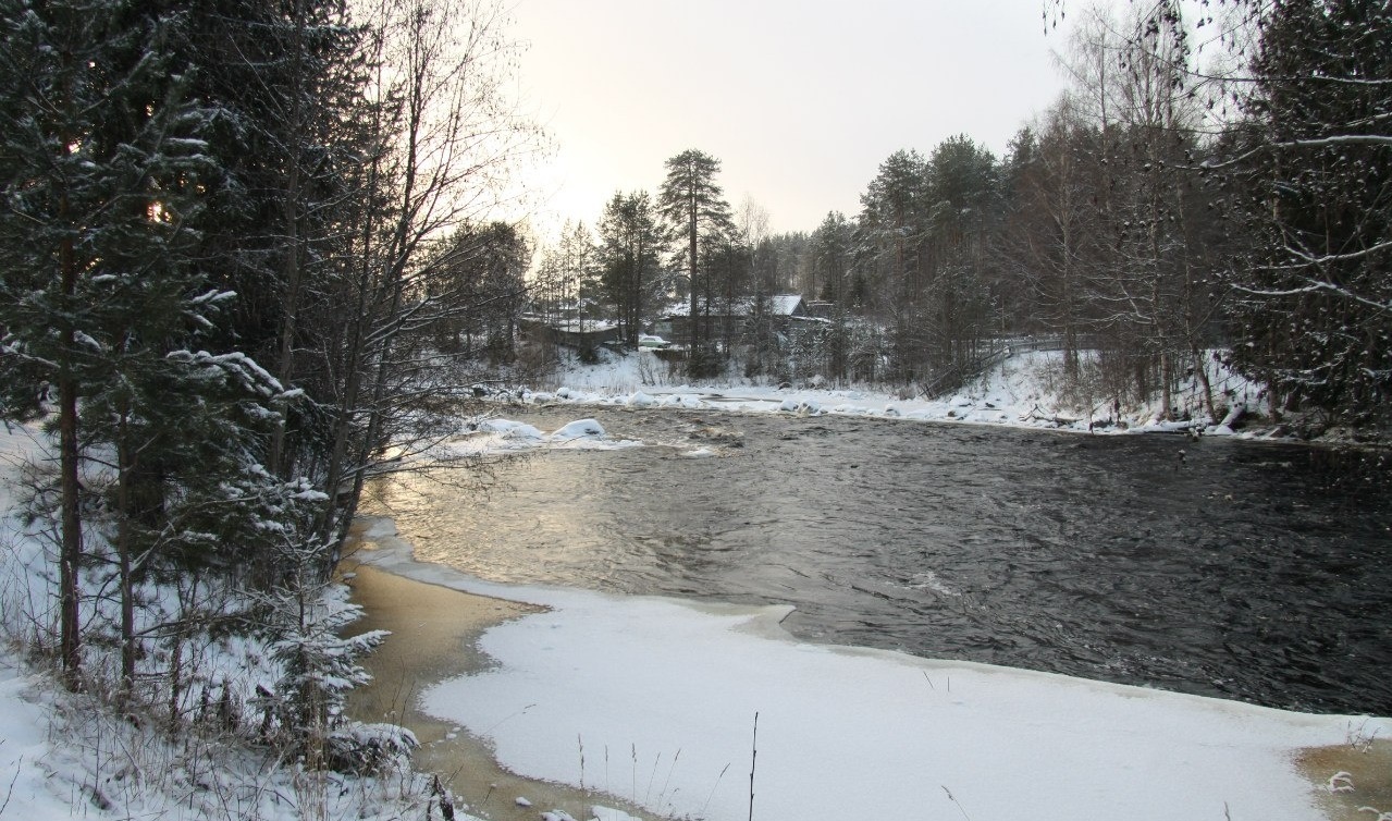 Фото Вегарус