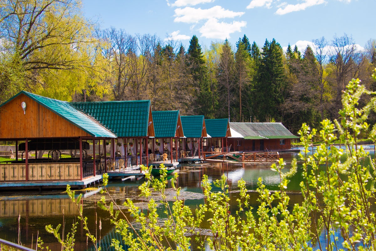 Фото Лесная сказка