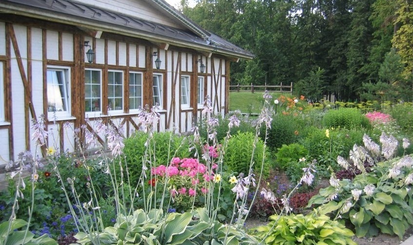 Фото Отрада