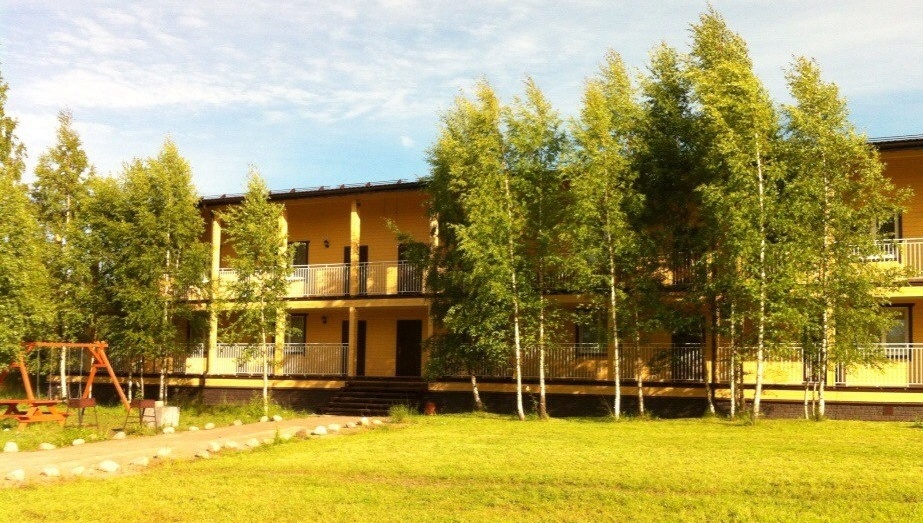 Фото Березки