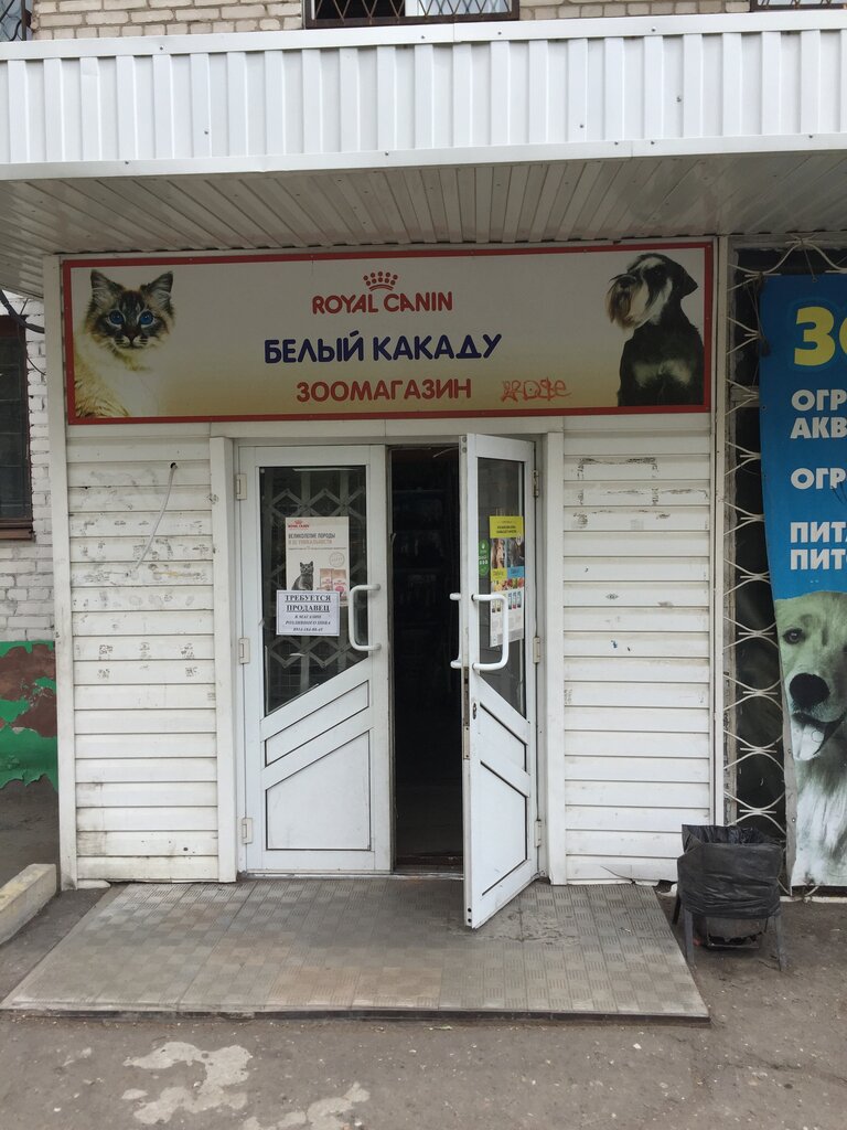 Какаду Зоомагазин Интернет Магазин
