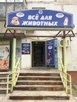 Veterinarnaya apteka (rabochiy posyolok Srednyaya Akhtuba, ulitsa Gagarina, 115), pet shop