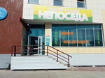 Neposeda (Oktyabrskaya Street, 26Б) ، متجر للأطفال