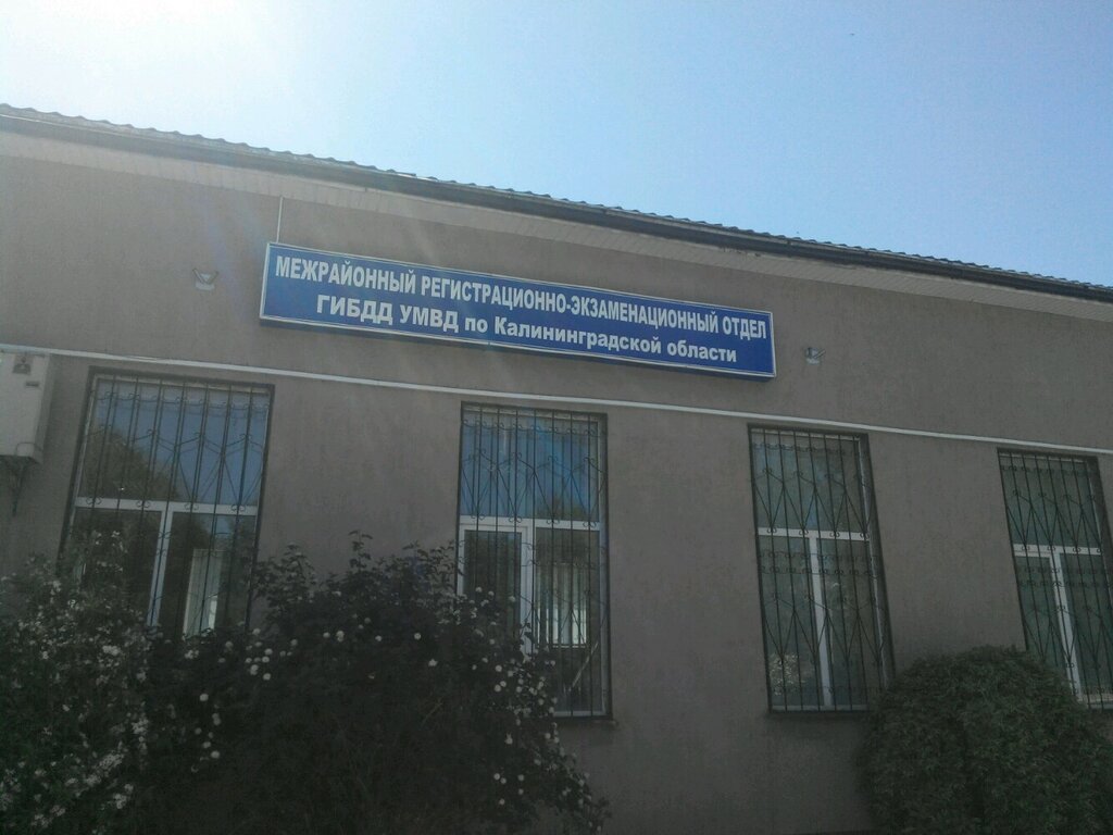 Мрэо гибдд калининград на борзова график работы