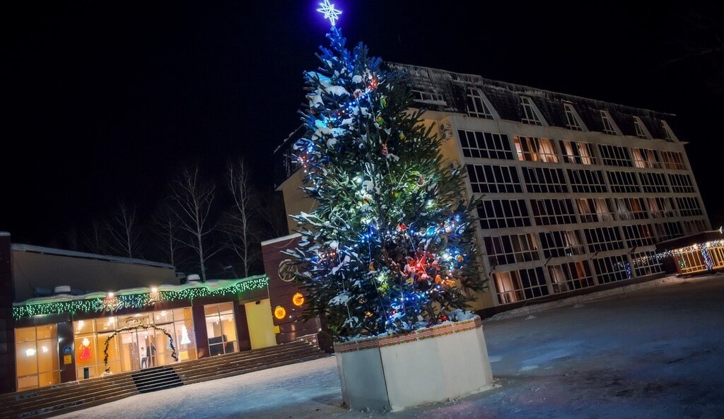 Гостиница Парк-Отель Нежинка, Оренбургская область, фото