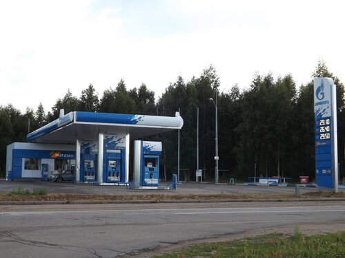 Gas station Gazpromneft, Yaroslavl Oblast, photo