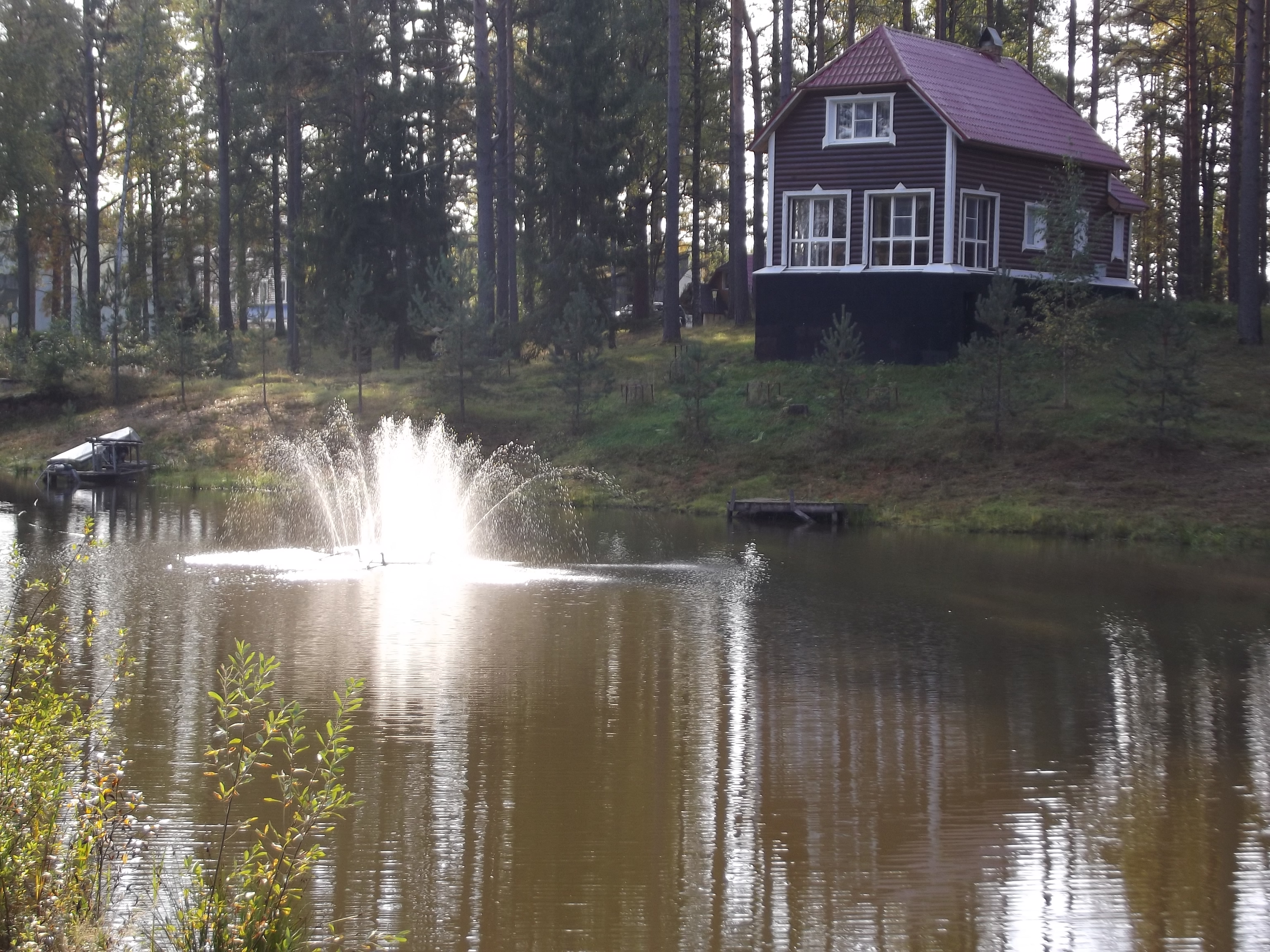 Фото Алёнушка