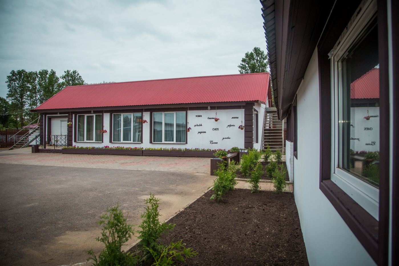 Фото Сова Сойкино