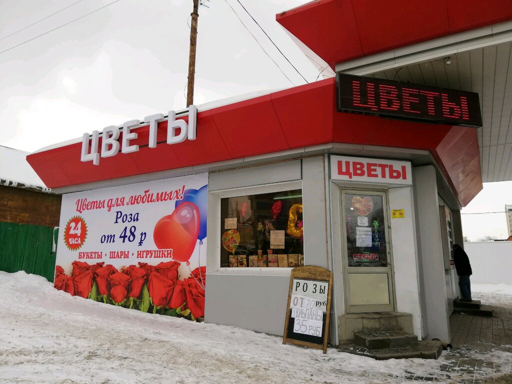 Магазин Растений Саратов