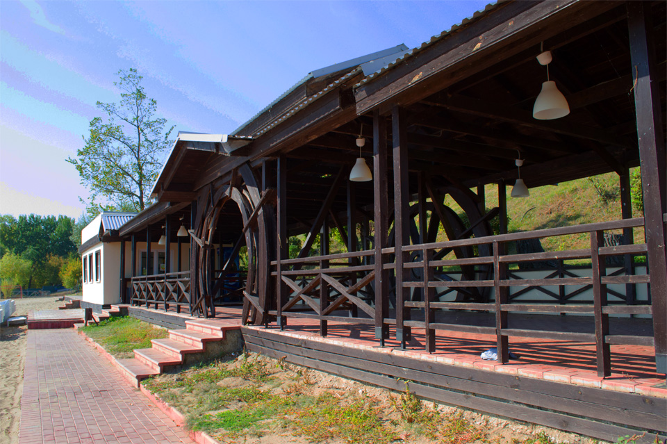 Фото Подсолнух