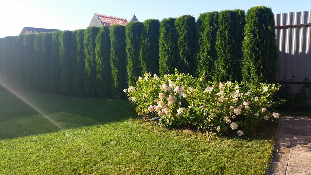 Landscape design LandTerritory, Moscow, photo