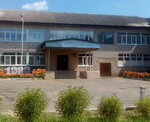 S. Borisovo shkola (selo Borisovo, Ambulatornaya ulitsa, 19), school