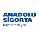 Anadolu Sigorta (Antalya, Kepez, Şafak Mah., 5003. Sok., 20), sigorta şirketleri  Kepez'den