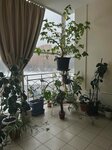 Translation agency (Belomorskaya Street, 26с2), translation agency