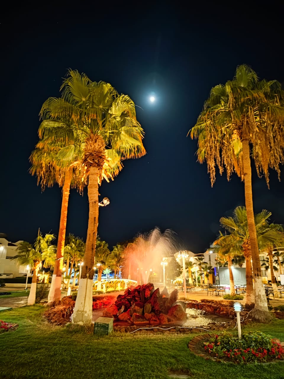 Фото Dreams Beach Resort Sharm El Sheikh