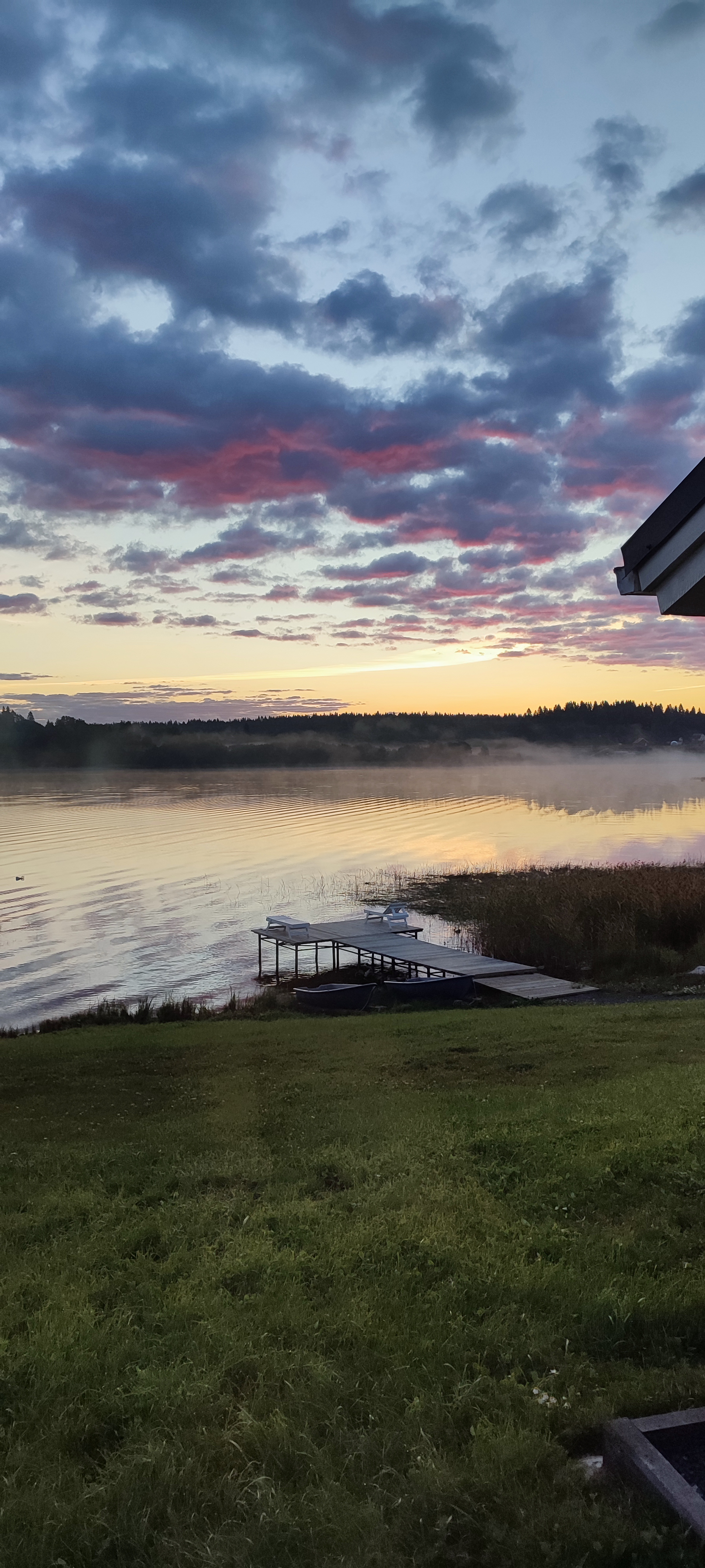 Фото Черника в Сонном заливе