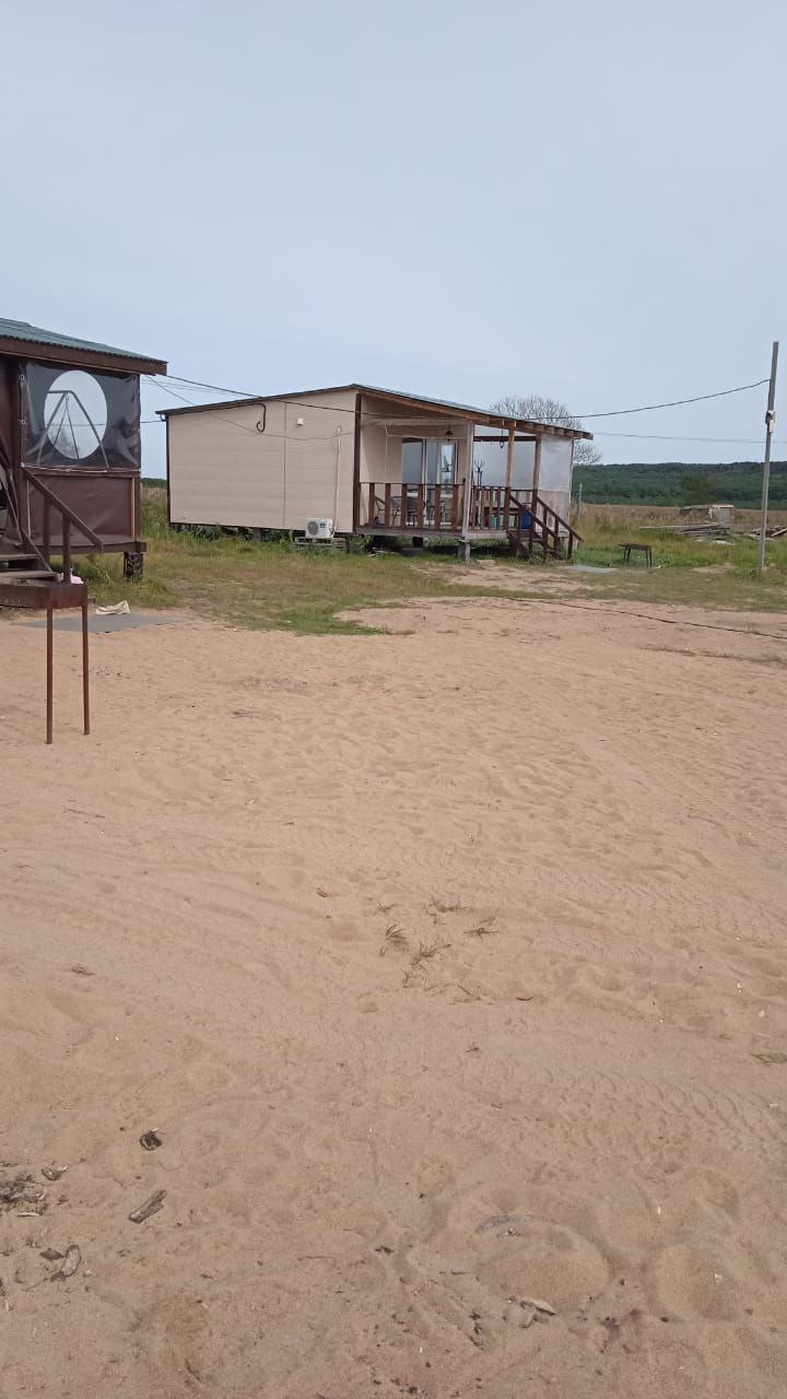 Фото Янтарная