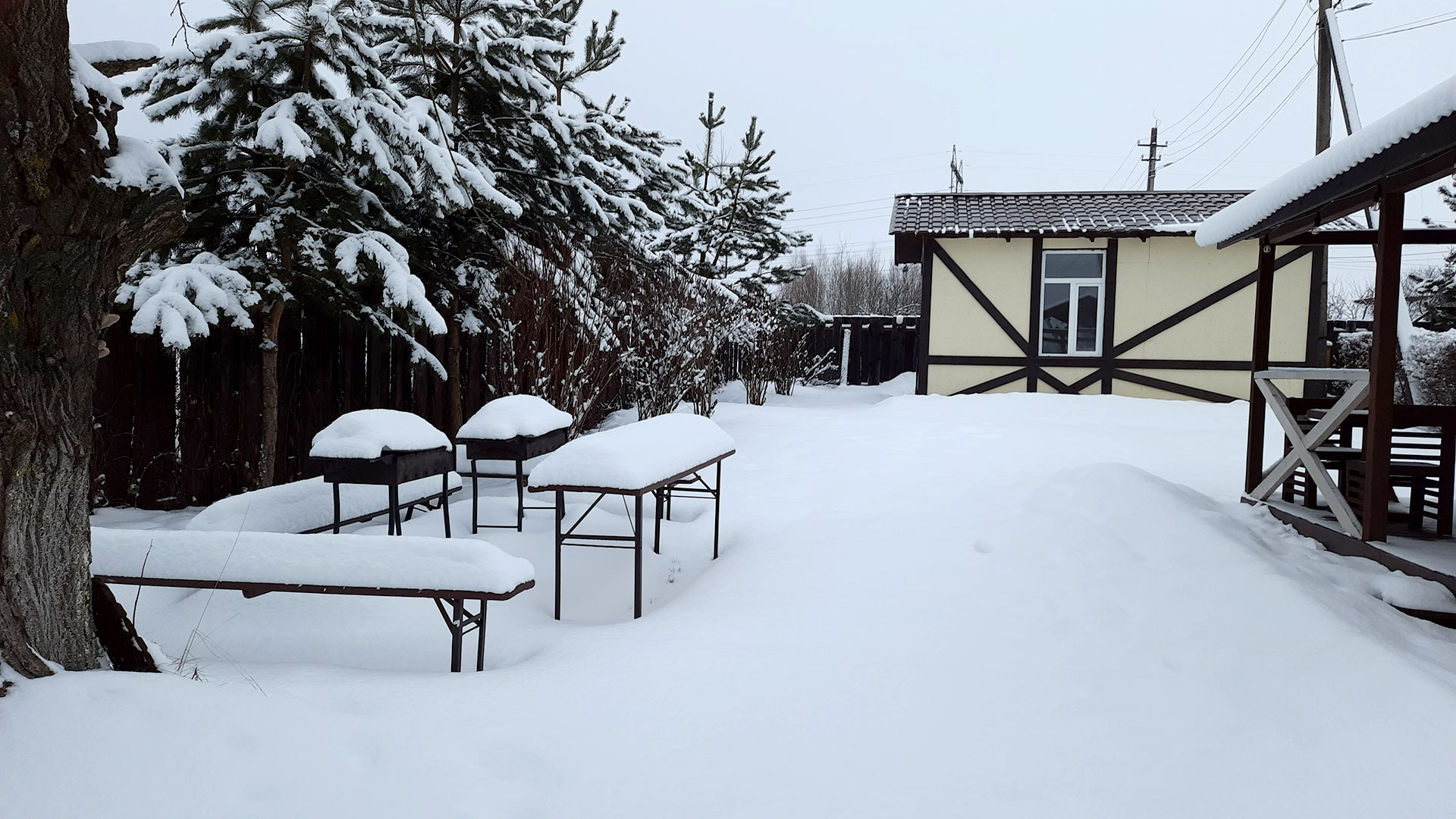 Фото Волков Скай