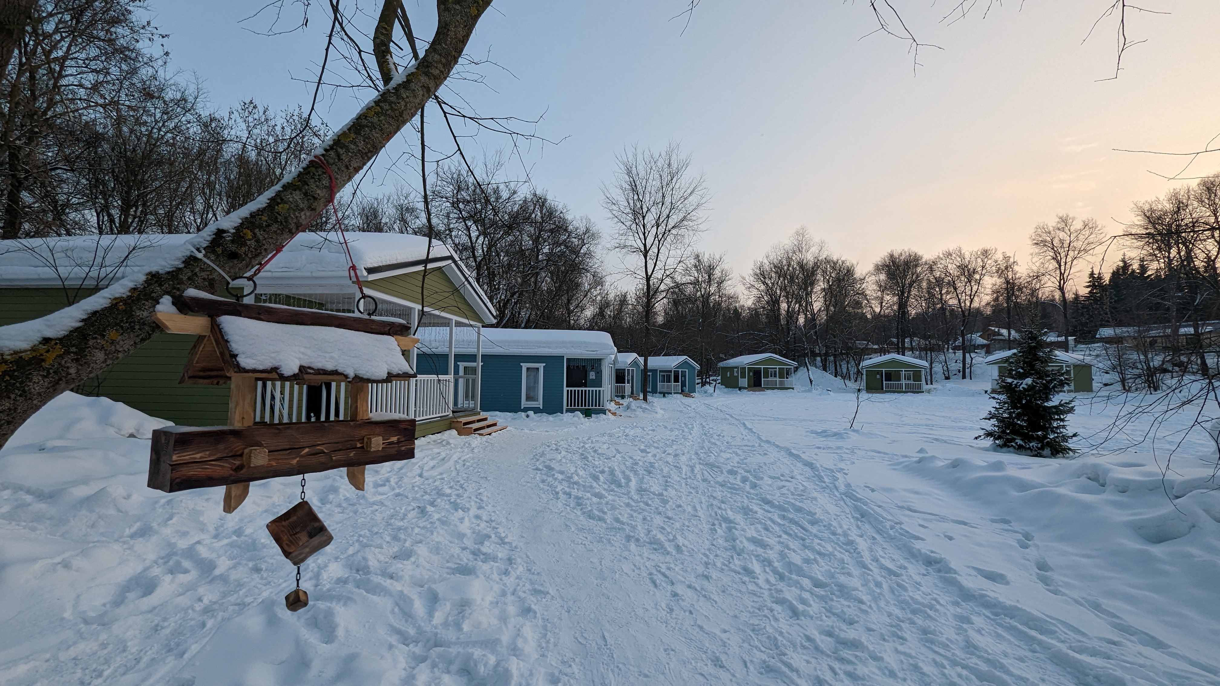 Фото Лес и Река