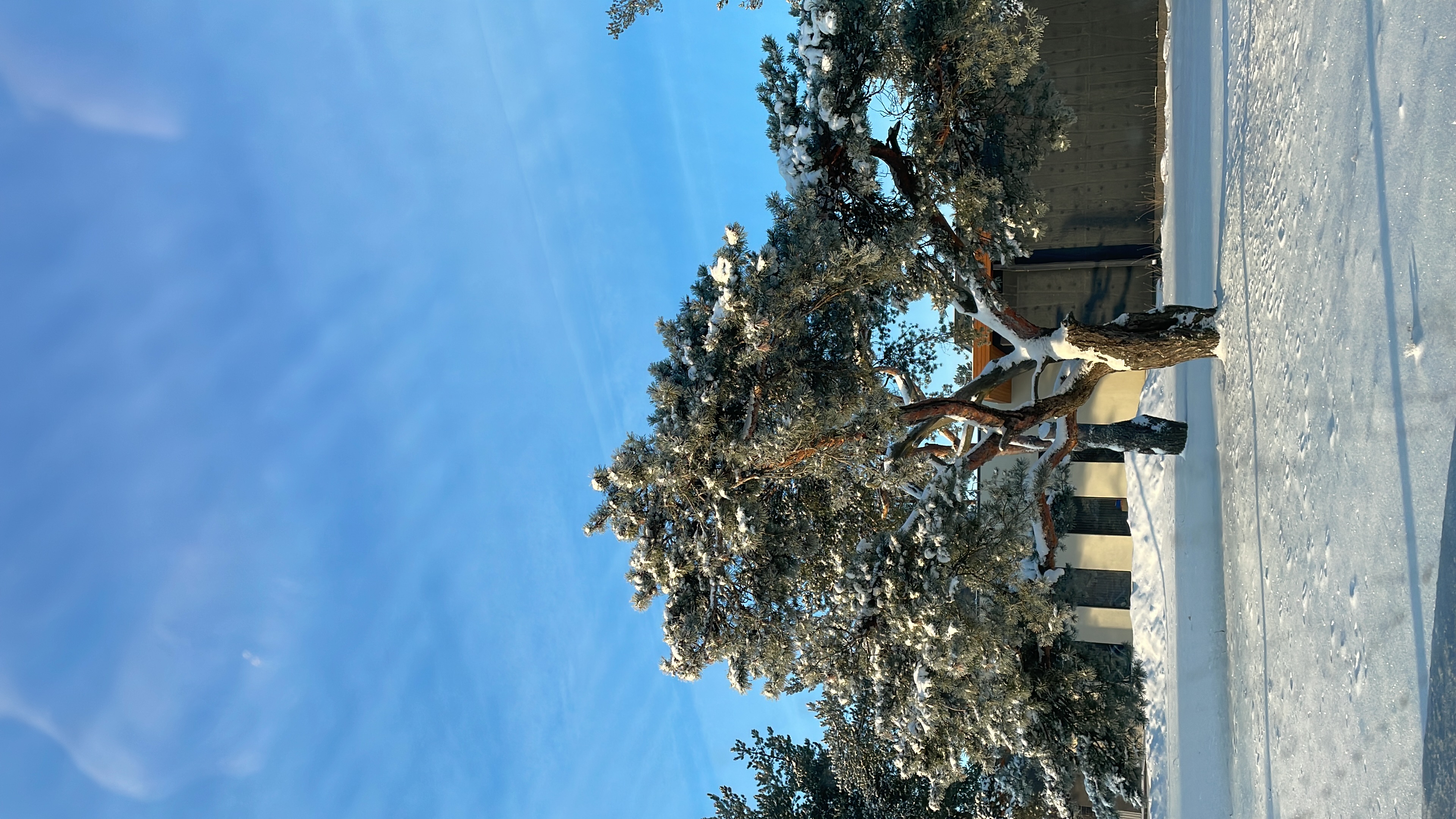 Фото Лакшми