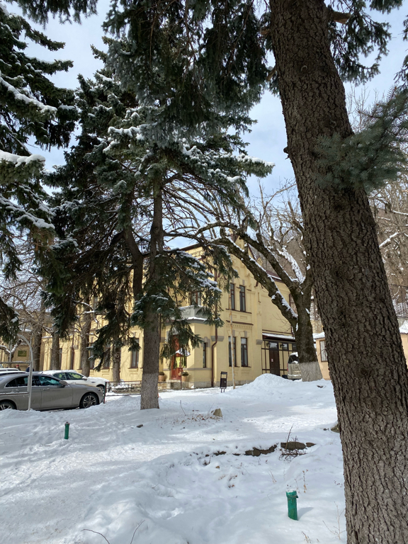 Фото Княжна Мери