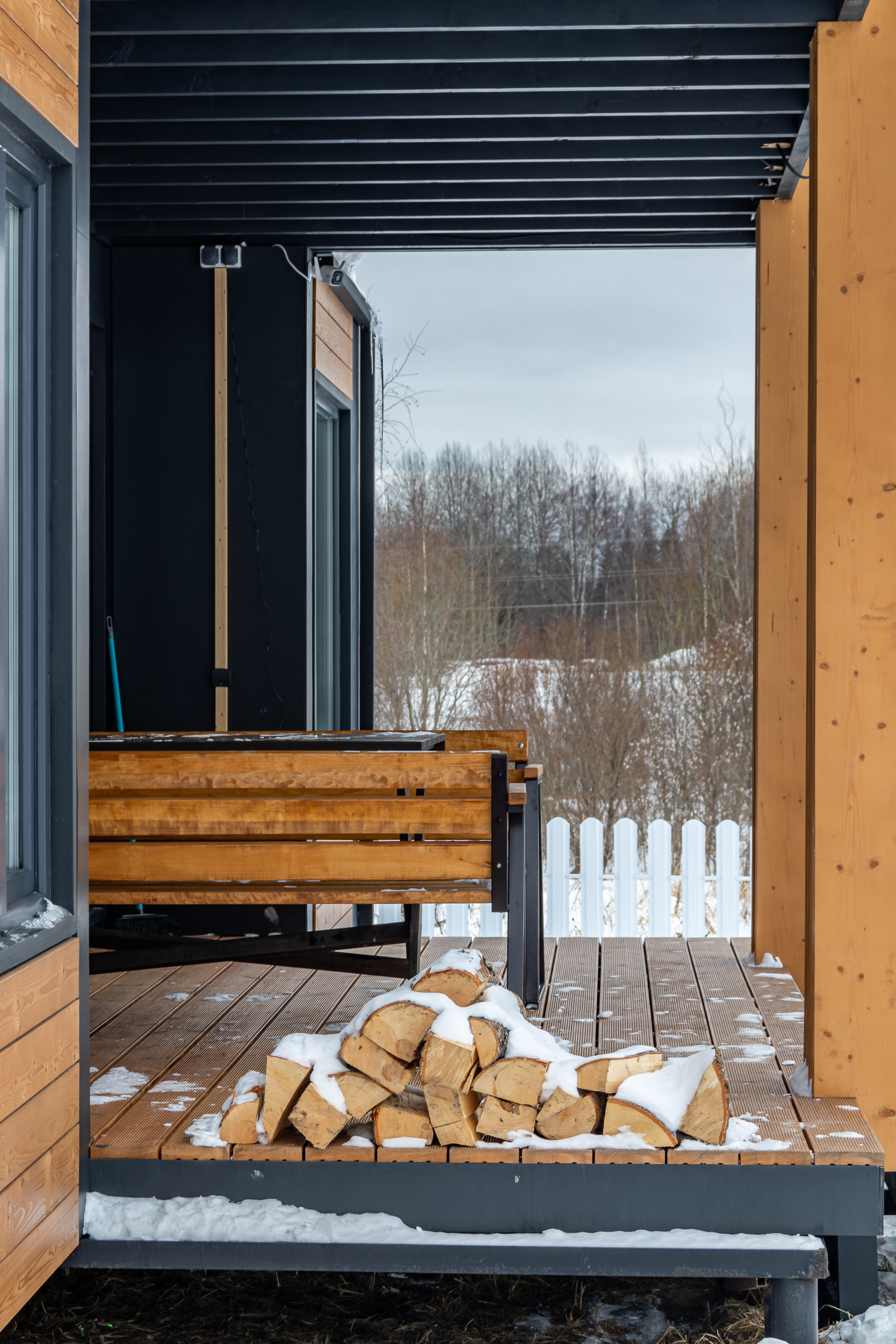 Фото Зеленый лес